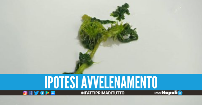 Foto Francesco Emilio Borrelli