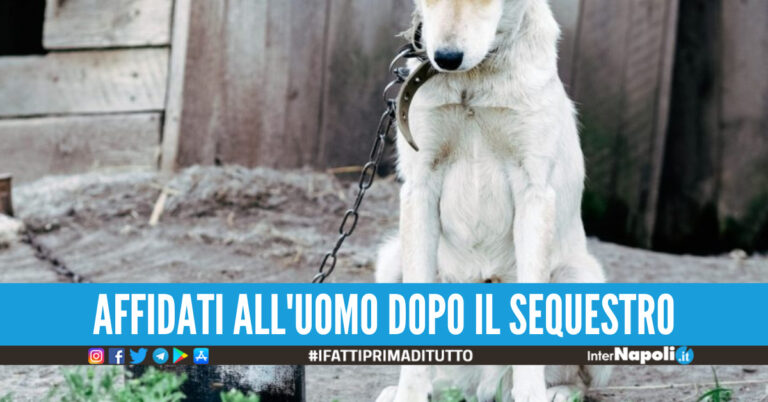 Foto di repertorio