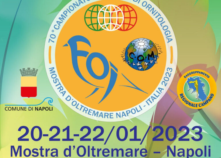 Campionato Mondiale di Ornitologia, a Napoli la 70esima edizione