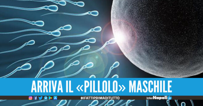 Arriva il «pillolo» maschile