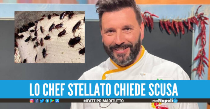 Carenze igieniche e blatte, chiuso ristorante stellato. Lo chef Si può sbagliare ma riapriremo