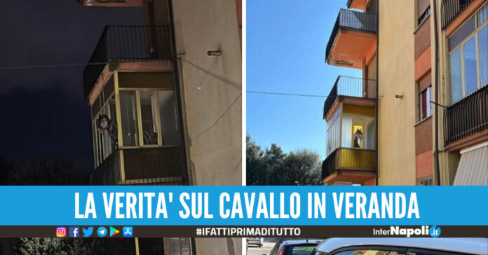 cavallo veranda avellino