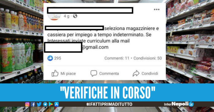 proposta di lavoro indecente borrelli