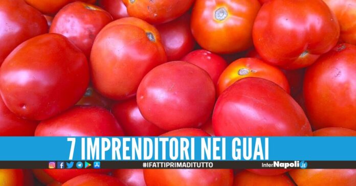 Affari milionari sui falsi prodotti bio, scatta il blitz nel Casertano