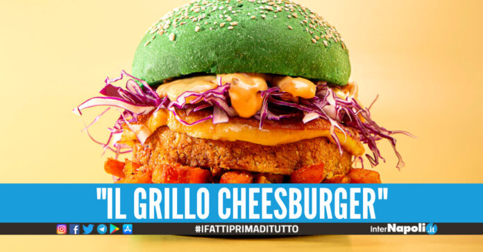 Grillo cheesburger
