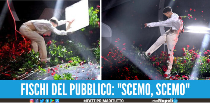 blanco
