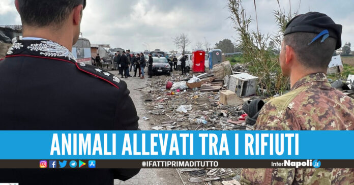 Campo rom Giugliano