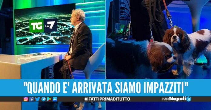 mentana
