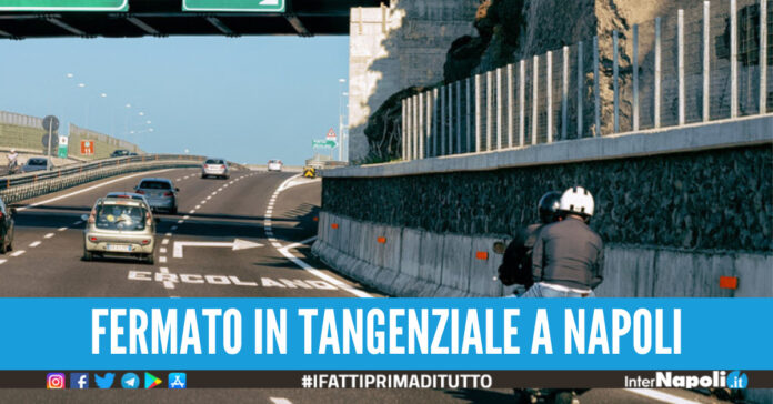 motorino