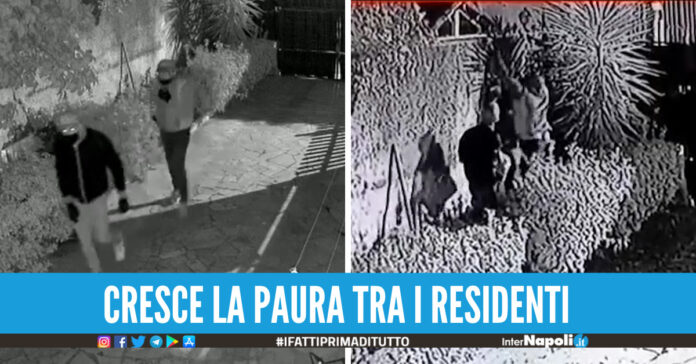 allarme furti melito