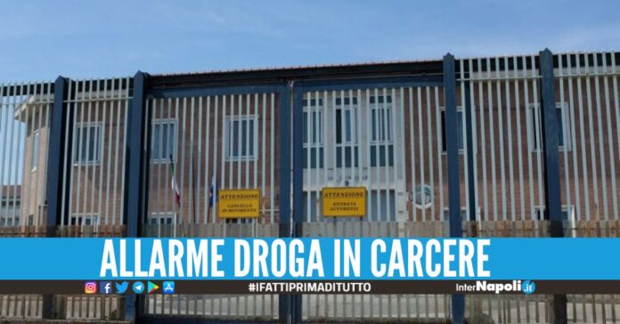 Cocaina e hashish nei pacchi per i detenuti, sequestri ad Avellino
