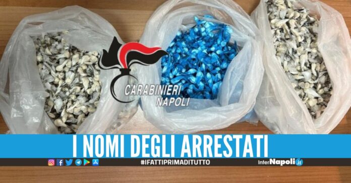 Non solo Parco Verde, 2 arresti anche nell'altro supermarket della droga
