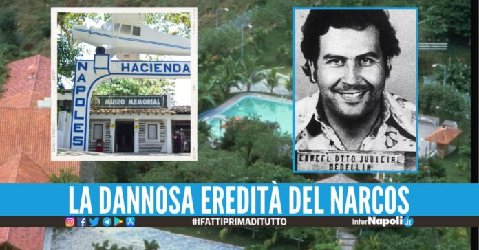 Il governo vuole trasferire gli ippopotami di Escobar: trovate 2 destinazioni 1
