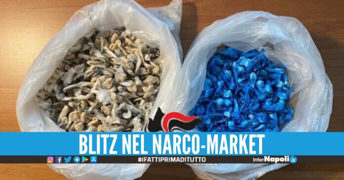 Scovati sacchi pieni di eroina e cocaina nel Parco Verde di Caivano