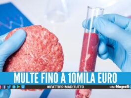 Decreto urgente del Governo, vietata la vendita della carne sintetica
