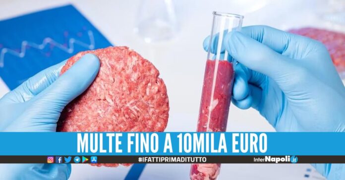 Decreto urgente del Governo, vietata la vendita della carne sintetica