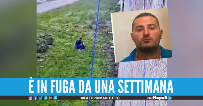 Marco Raduano