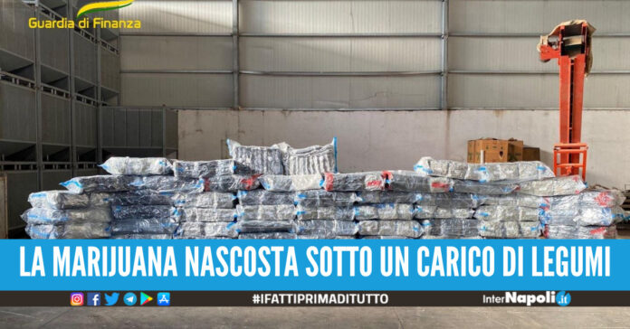 narcos area vesuviana marijuana