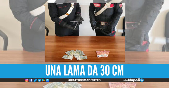 rapina
