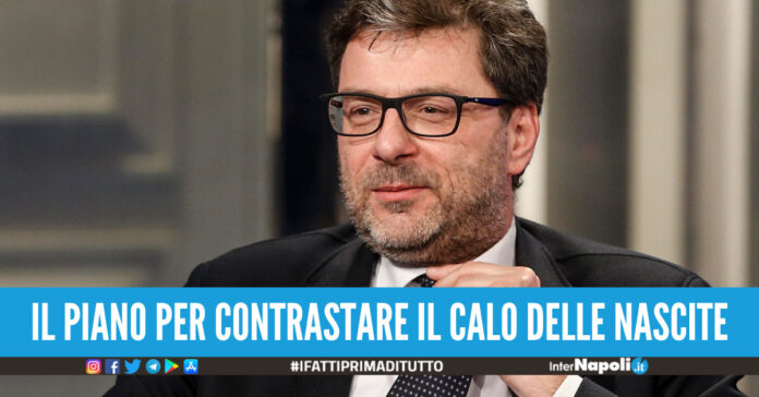 reddito di gravidanza