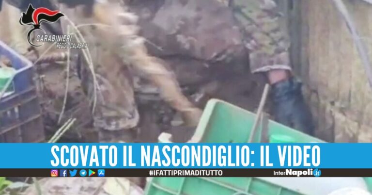 Aveva finito i soldi per la latitanza, ‘ndranghetista catturato al rientro in Italia