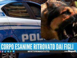 Trovato morto in casa nel Salernitano, corpo azzannato dal cane