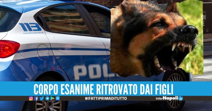 Trovato morto in casa nel Salernitano, corpo azzannato dal cane