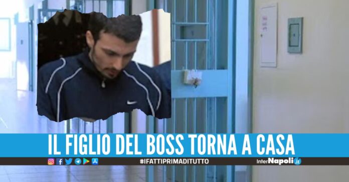 Omicidio nella faida di Scampia, scarcerato Vincenzo Di Lauro