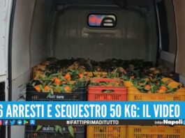 Traffico di cocaina tra Calabria-Sicilia, carichi nascosti tra i mandarini