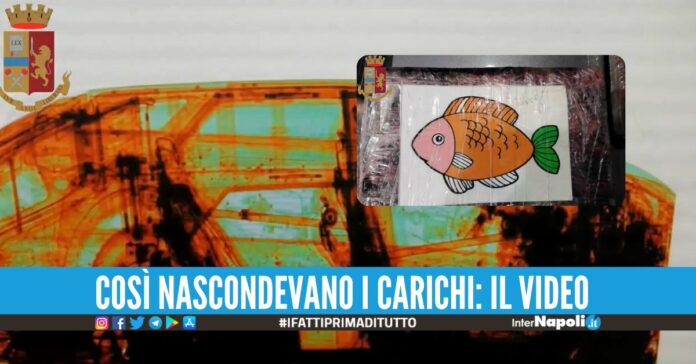 La camorra comprava la cocaina purissima dall'Olanda: 8 arresti