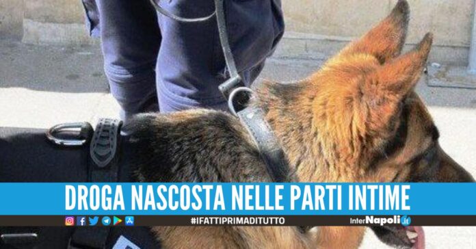 Tenta di dare 300 grammi di hashish al parente detenuto ad Avellino