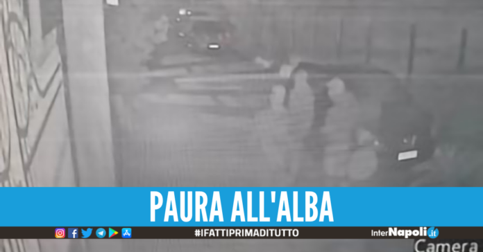 RAPINA