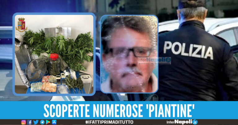 Blitz a Pianura, scoperta una serra di marijuana in casa: manette per un insospettabile