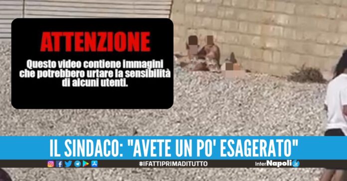 Beccati a fare sesso in spiaggia, il video della coppia diventa virale