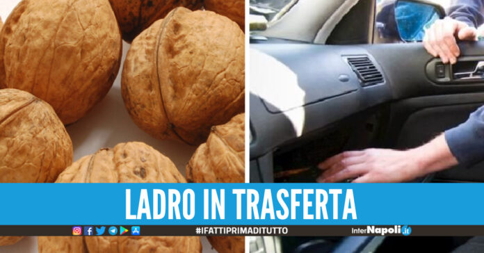 Foto di repertorio, noci