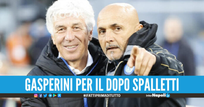 GASPERINI SPALLETTI
