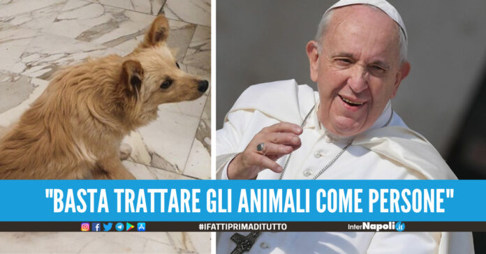 Gli animali non sono bimbi. E' polemica sul Papa si è rifiutato di benedire un cagnolino
