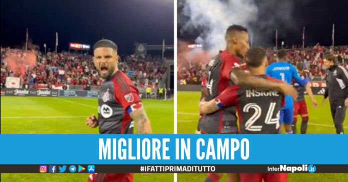 Insigne
