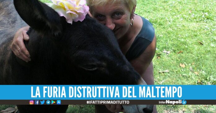 Marinella e Sauro morti per salvare l'asina dall'alluvione in Emilia Romagna.
