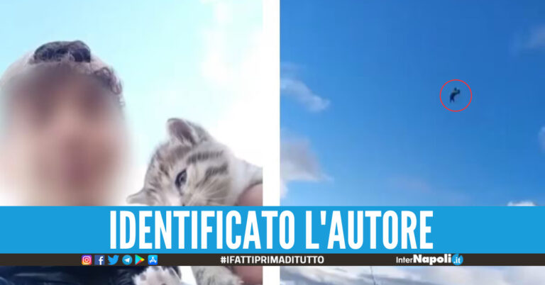 Choc ad Avellino, lancia un gattino giù dal dirupo e posta il video sui social