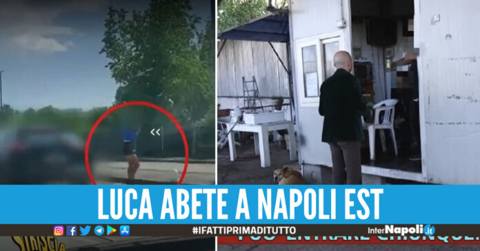 Servizio Striscia