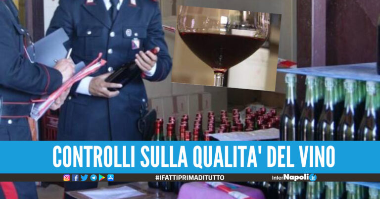 Settanta mila litri di vino sequestrati in Campania, multa da 47mila euro ad un'azienda