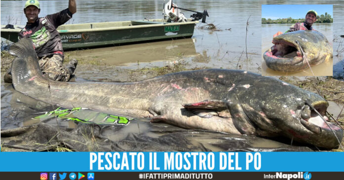 Dopo 23 anni catturato il mostro del Po: pesce siluro da 285 cm