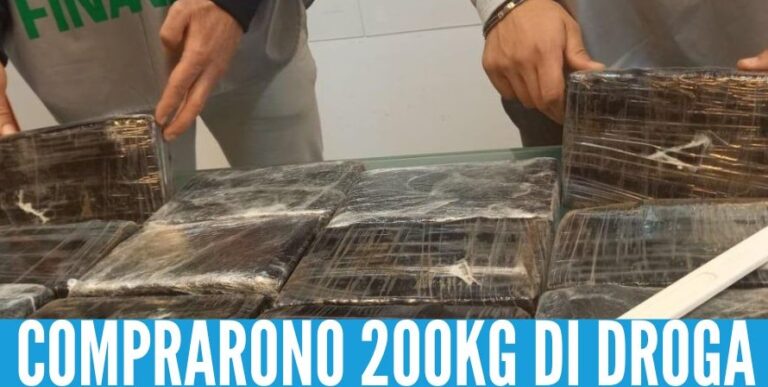 Traffico di cocaina tra Napoli e Scalea, 8 arresti contro i narcos