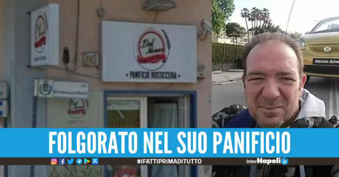 domenico