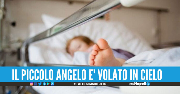 Valerio non ce l'ha fatta, il 12enne è morto dopo 4 giorni di agonia investito da un'auto mentre era in bici