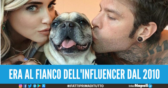 matilda cagnolina chiara ferragni