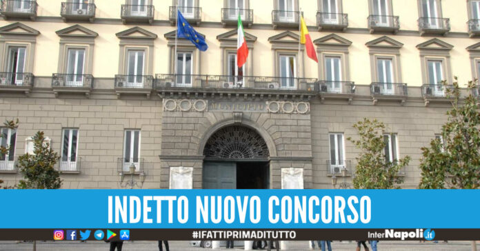 assunzioni comune