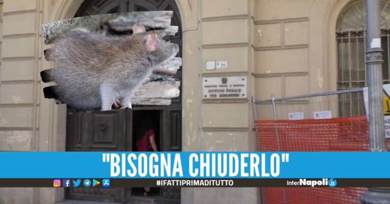"Topi nel carcere minorile di Airola", la denuncia della Penitenziaria
