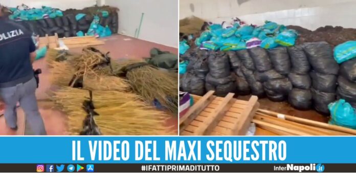 Sequestrati 250 kg di marijuana, colpo milionario contro i narcos